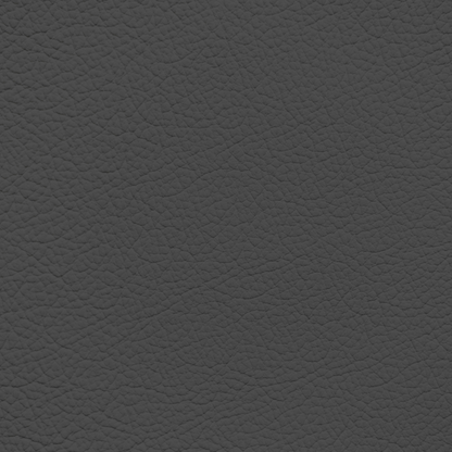 Ford/Lincoln/Mercury Dark Titanium Leather Dye