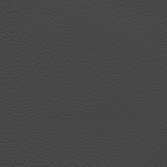 Ford/Lincoln/Mercury Dark Titanium Leather Dye