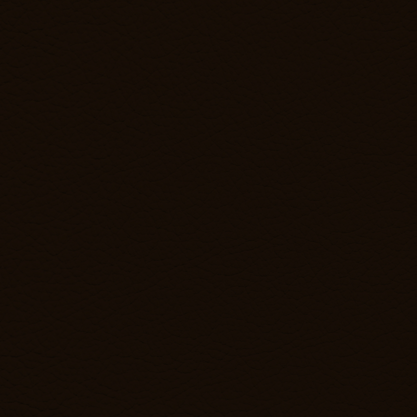 Porsche Dark Brown Leather Dye