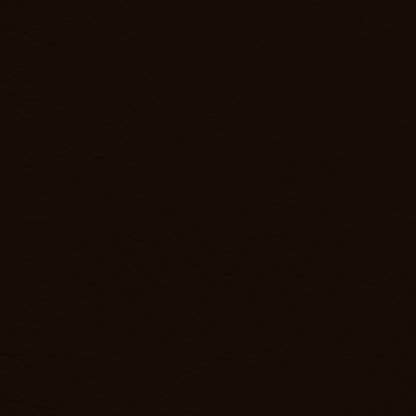 Porsche Dark Brown Leather Dye