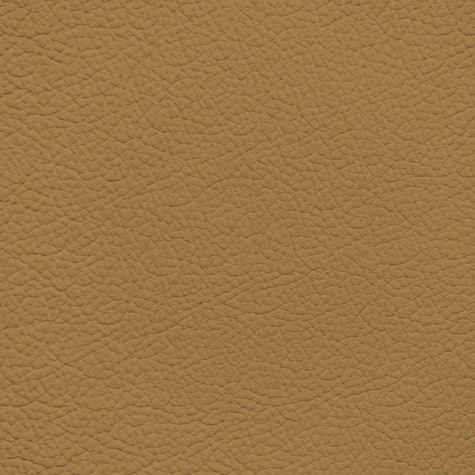 Porsche Dark Champagne Leather Dye