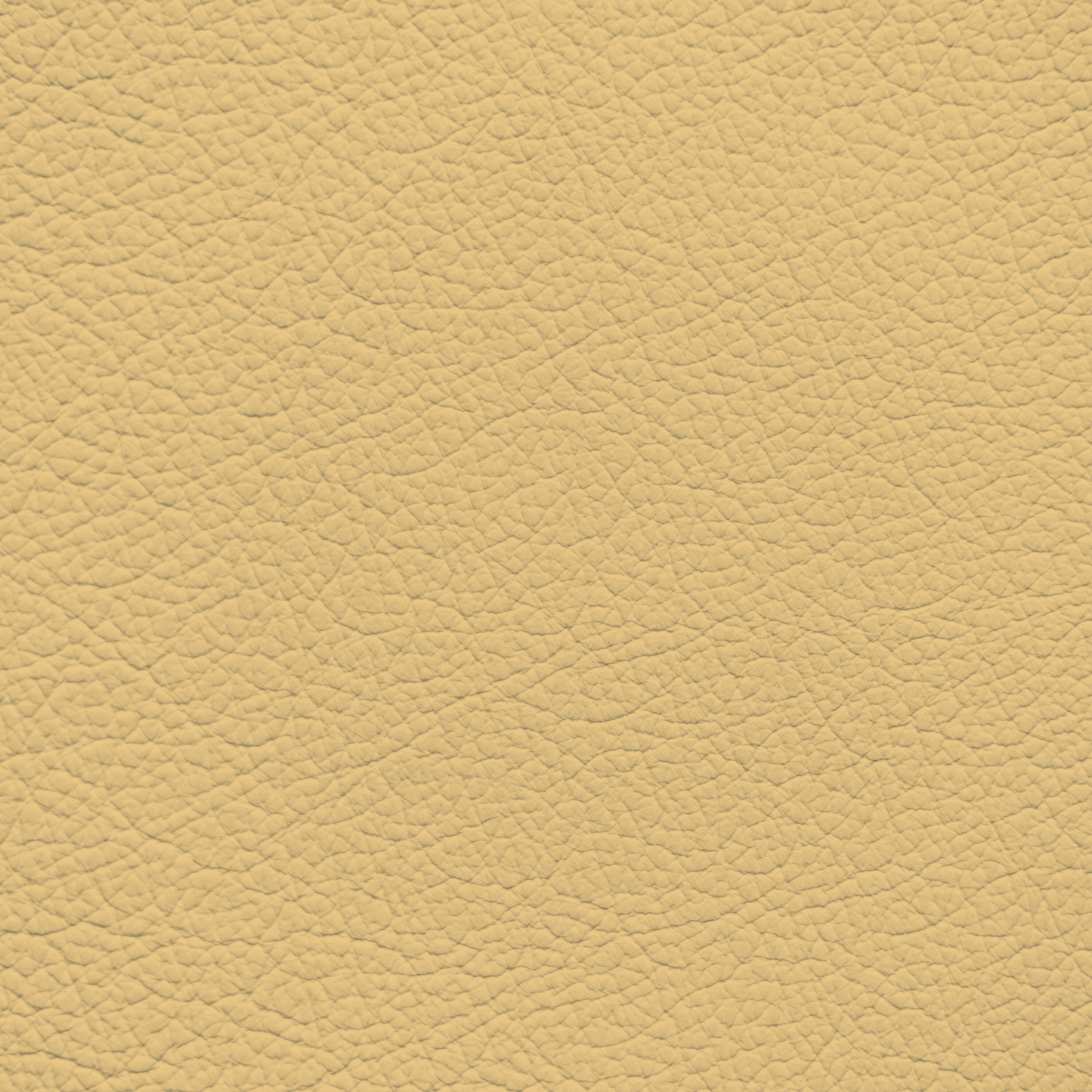 Jaguar Dark Cream Leather Dye