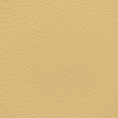 Jaguar Dark Cream Leather Dye