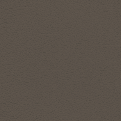Mazda/Mitsubishi Dark Prairie Tan Leather Dye