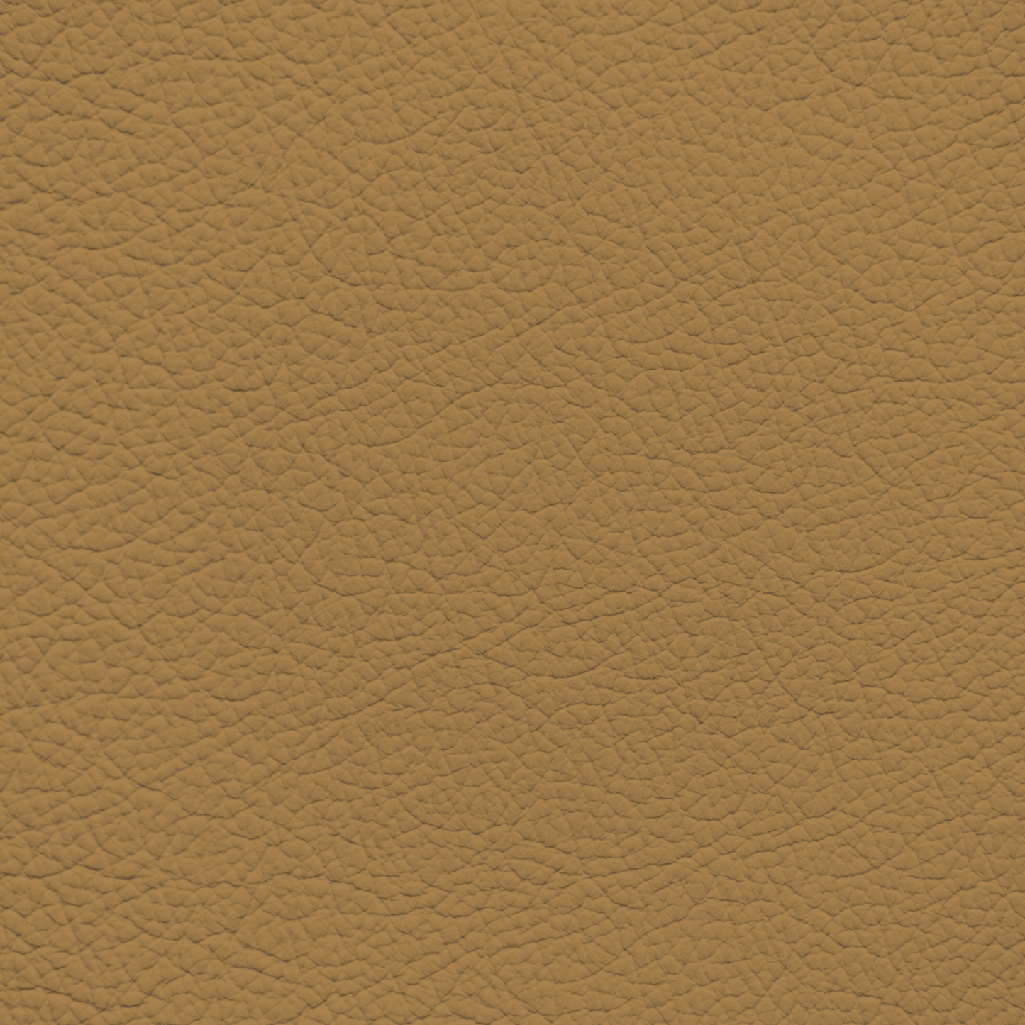 Mercedes Dattel Leather Dye