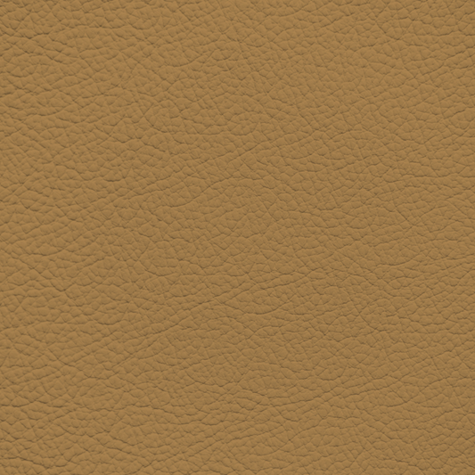 Mercedes Dattel Leather Dye