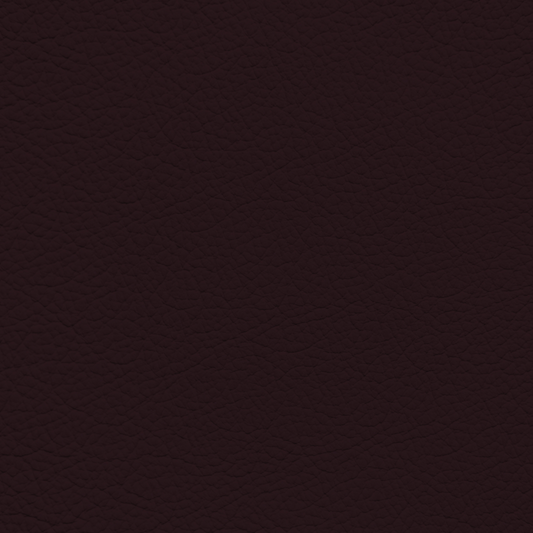 Ford/Lincoln/Mercury Deep Merlot Leather Dye
