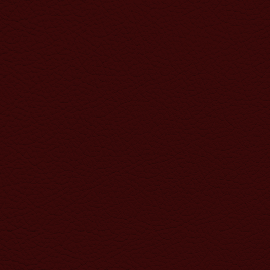 Volkswagen Deep Red Leather Dye