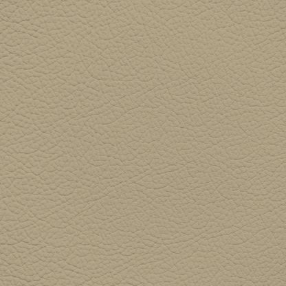 Jaguar Doeskin Leather Dye