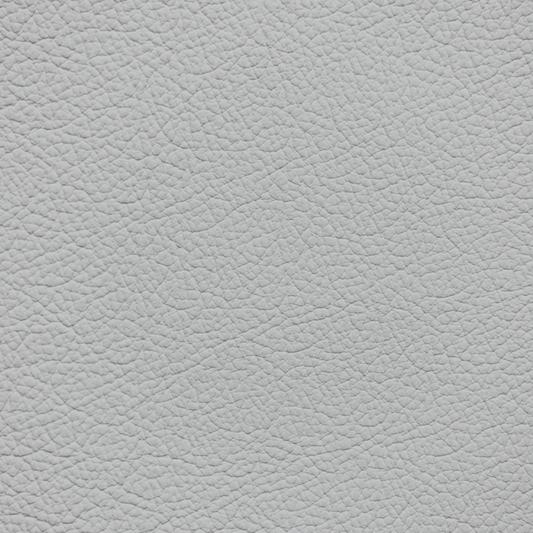 Ford/Lincoln/Mercury Dove Gray Leather Dye