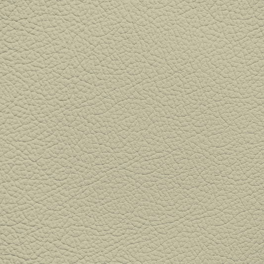 Ford/Lincoln/Mercury Dune Leather Dye