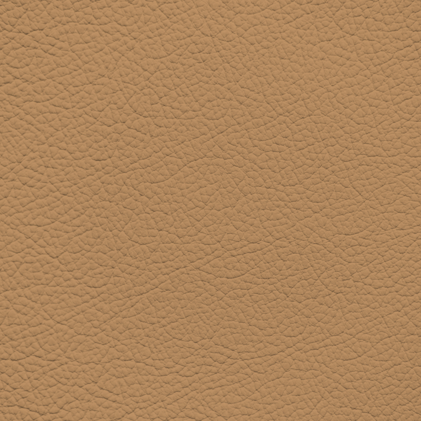 Hyundai Dune Beige Leather Dye