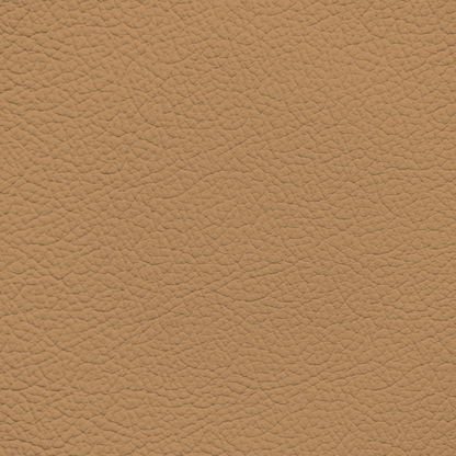 Hyundai Dune Beige Leather Dye