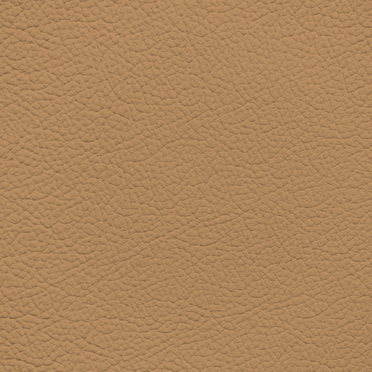Hyundai Dune Beige Leather Dye
