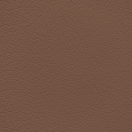 Hyundai Dunkel Brown Leather Dye