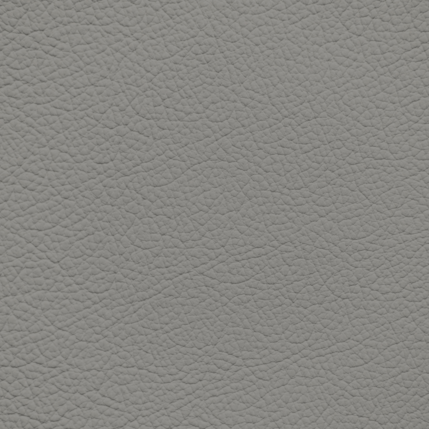 Ford/Lincoln/Mercury Earth Gray Leather Dye