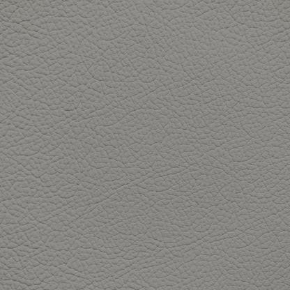 Ford/Lincoln/Mercury Earth Gray Leather Dye