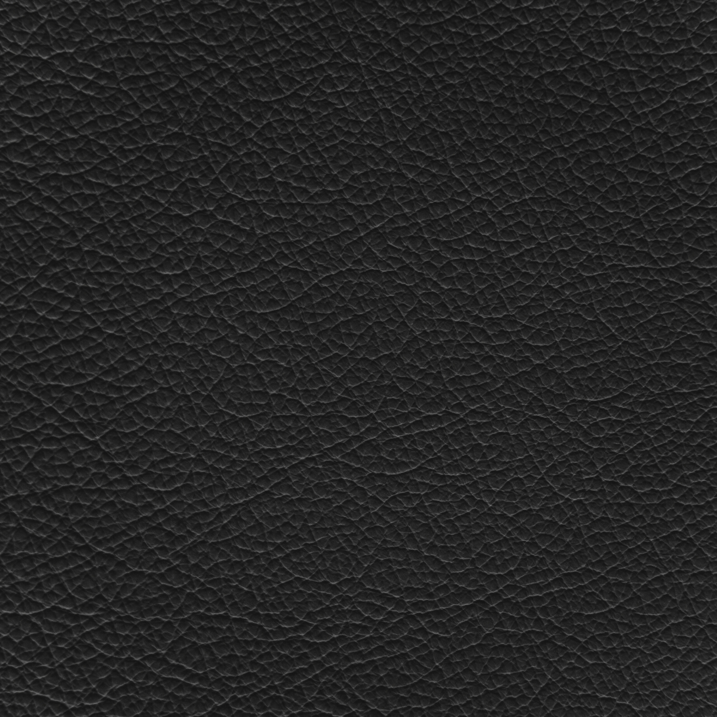 Ford/Lincoln/Mercury Ebony Leather Dye