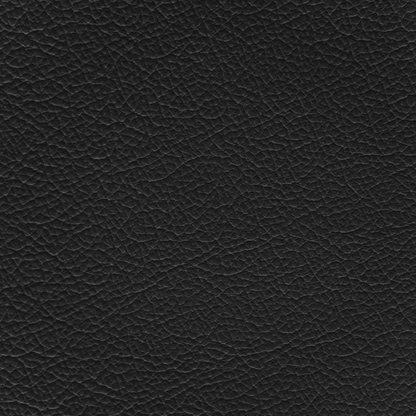 Ford/Lincoln/Mercury Ebony Leather Dye