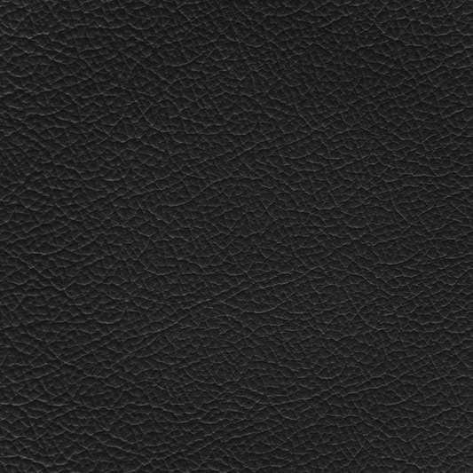 Ford/Lincoln/Mercury Ebony Leather Dye