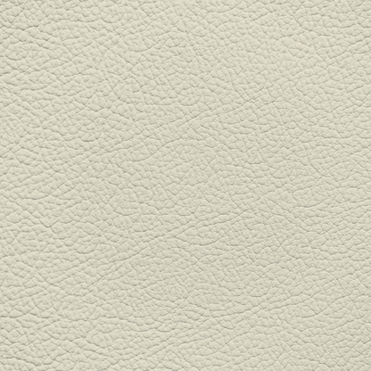Infiniti Eggshell Leather Dye