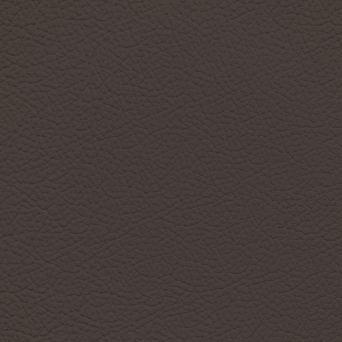 Mercedes Espresso Leather Dye