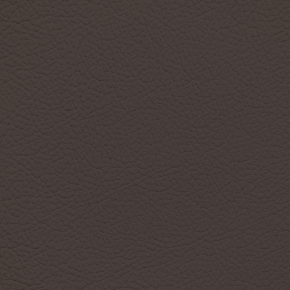 Mercedes Espresso Leather Dye