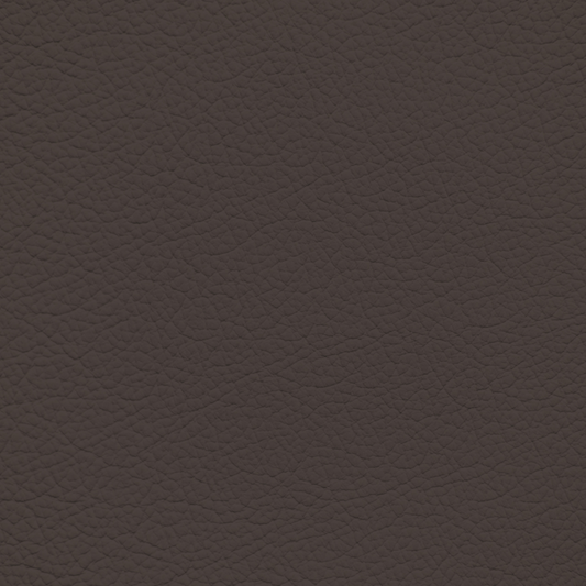 Mercedes Espresso Leather Dye