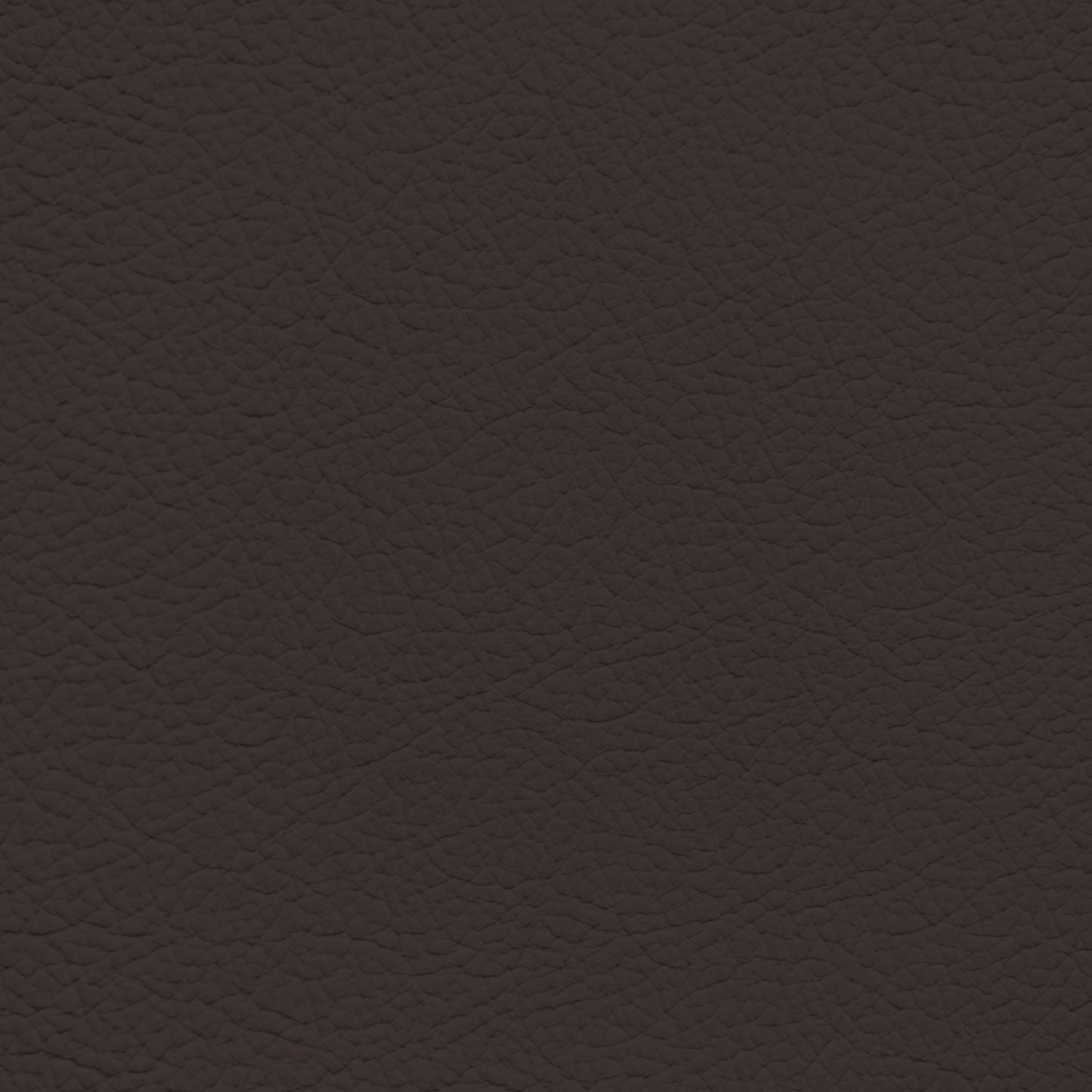 Ford/Lincoln/Mercury Espresso Leather Dye