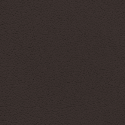 Ford/Lincoln/Mercury Espresso Leather Dye