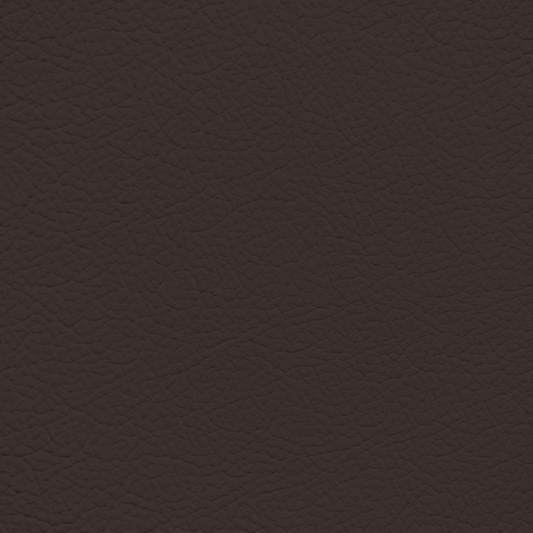 Ford/Lincoln/Mercury Espresso Leather Dye