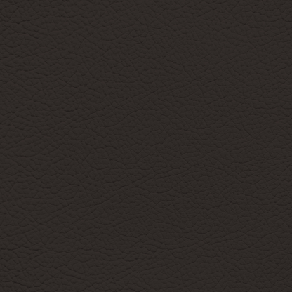 Mercedes Espresso Brown Leather Dye