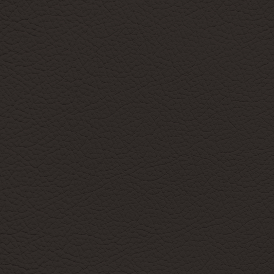 Mercedes Espresso Brown Leather Dye