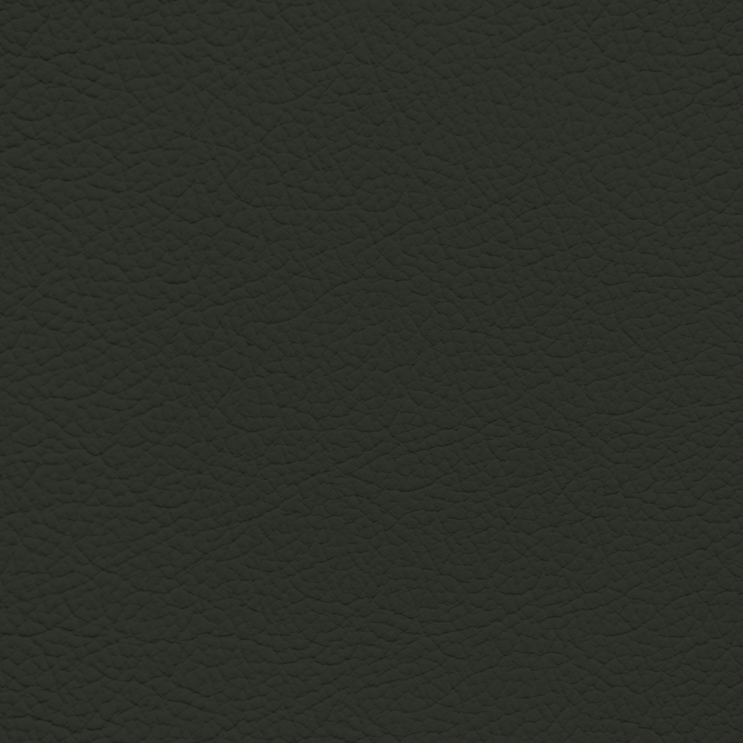 Ford/Lincoln/Mercury Evergreen Leather Dye