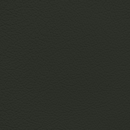 Ford/Lincoln/Mercury Evergreen Leather Dye