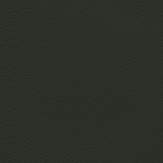 Ford/Lincoln/Mercury Evergreen Leather Dye