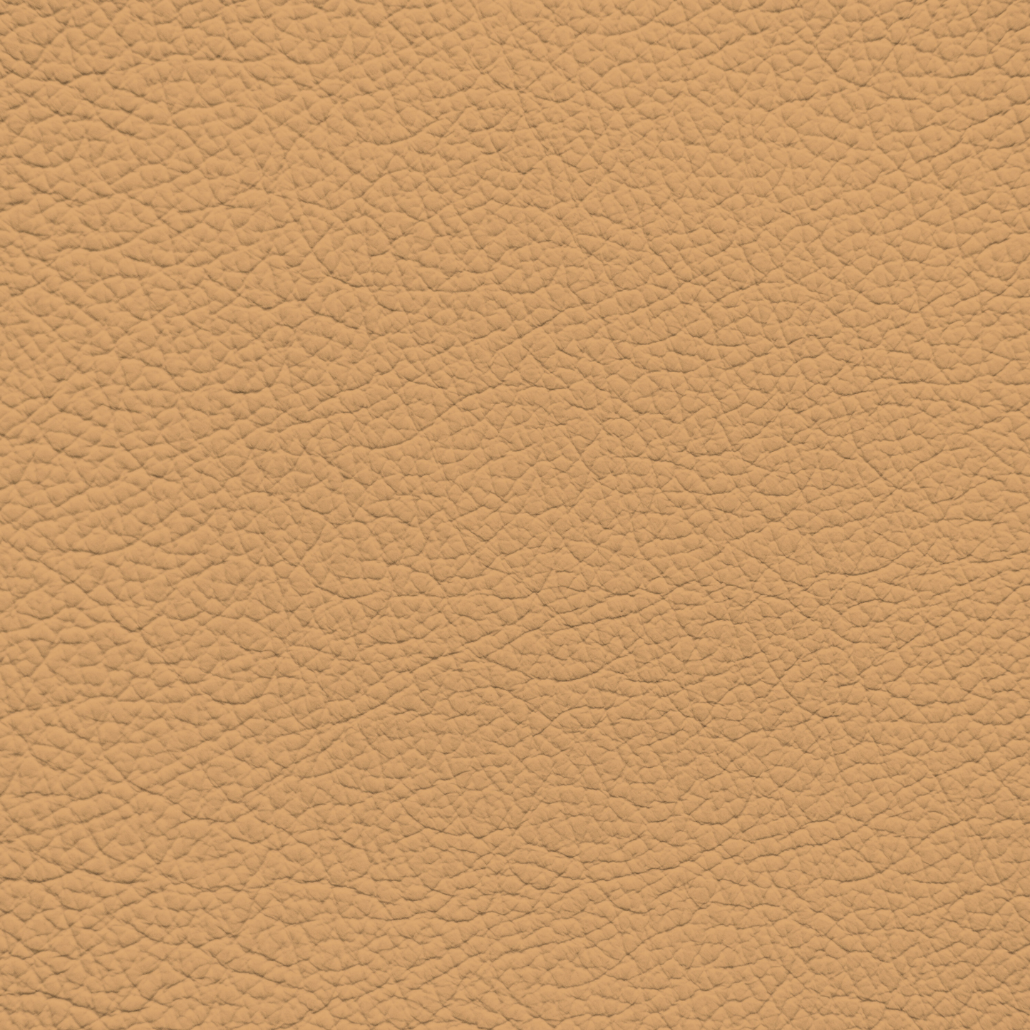 Ferrari Beige Leather Dye