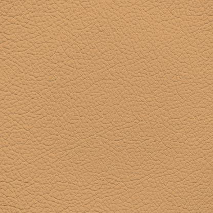 Ferrari Beige Leather Dye