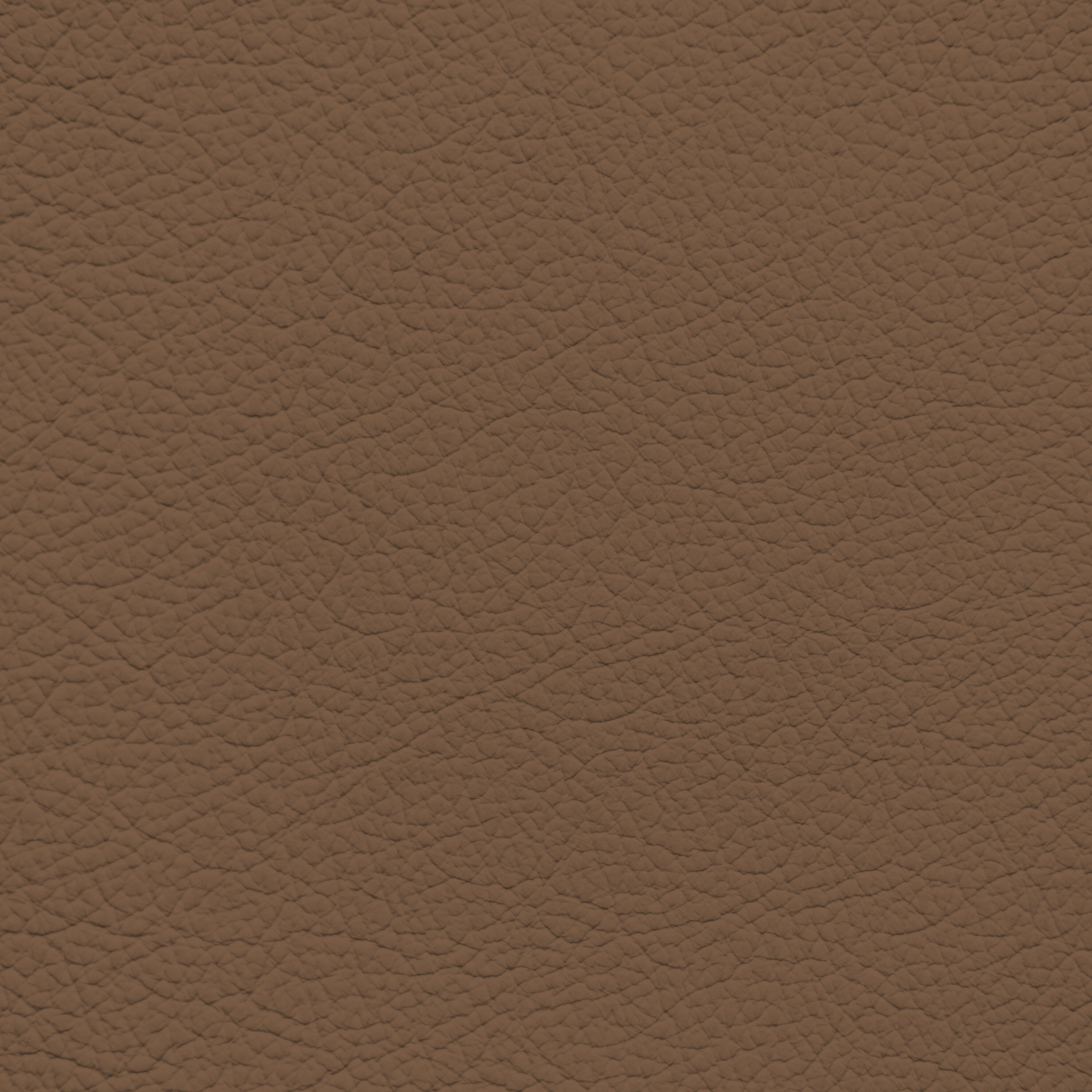 Ferrari Cioccolato Leather Dye