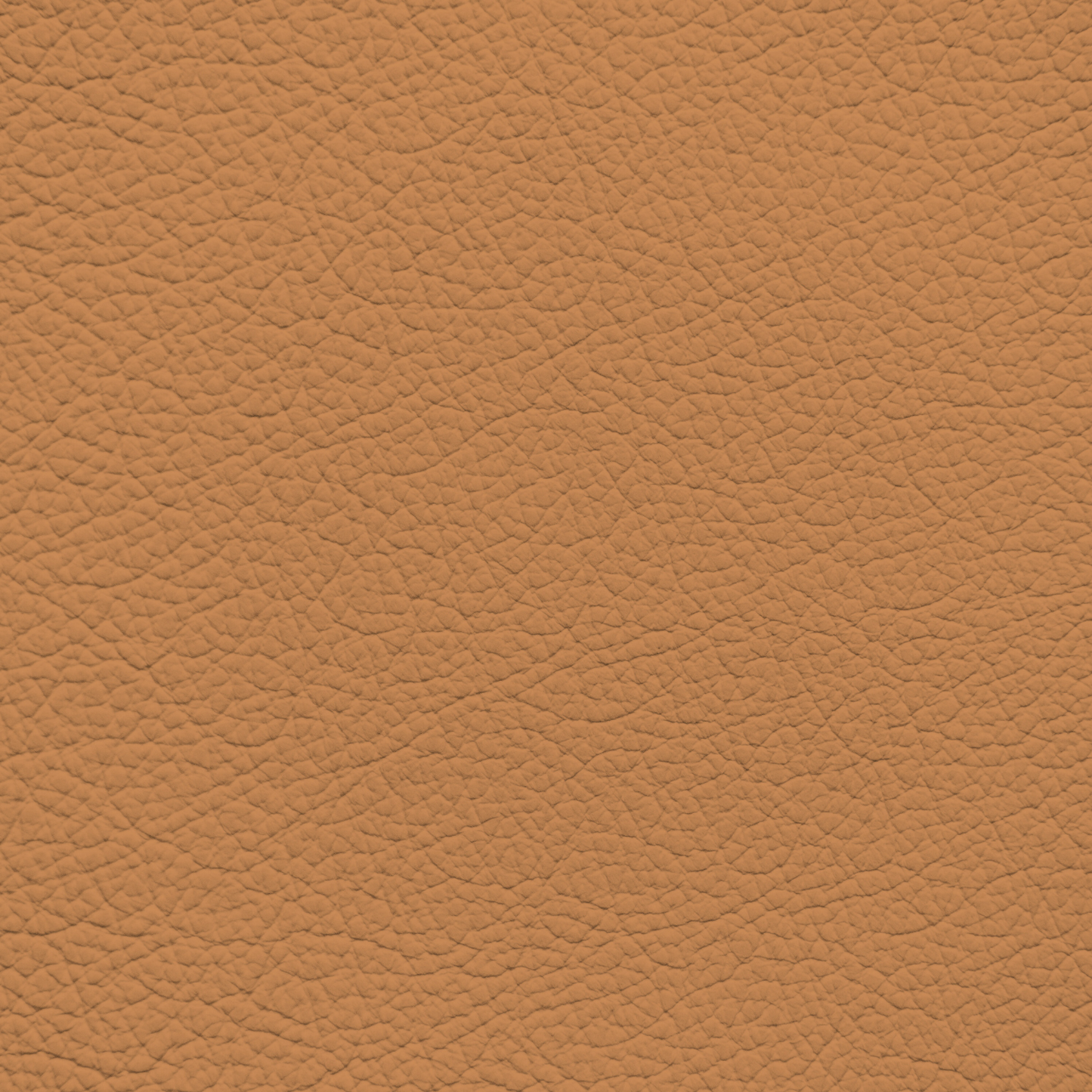 Ferrari Cuoio Leather Dye