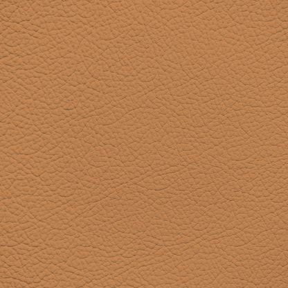 Ferrari Cuoio Leather Dye