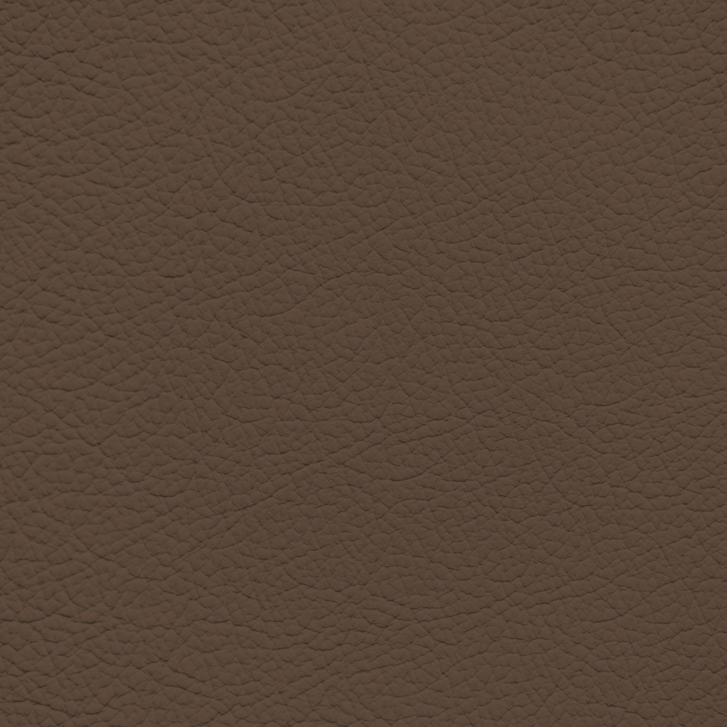 Ferrari Iroko Brown Leather Dye