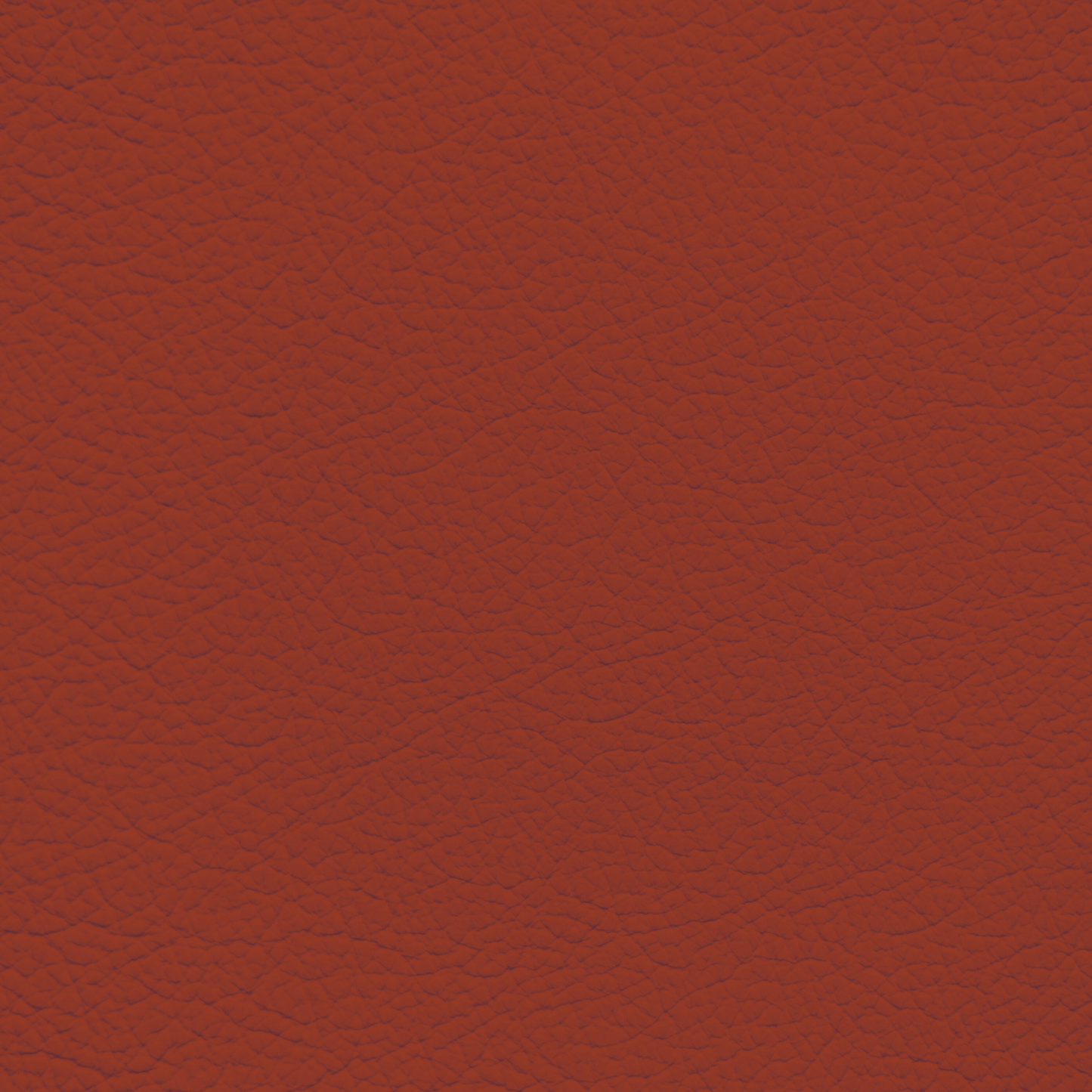 Ford/Lincoln/Mercury Fire Orange Leather Dye