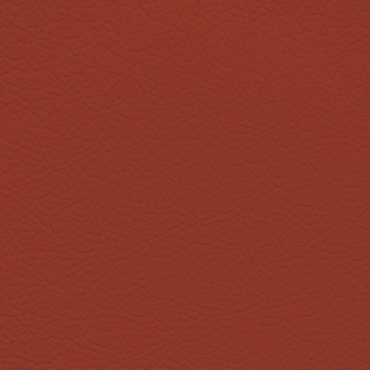 Ford/Lincoln/Mercury Fire Orange Leather Dye