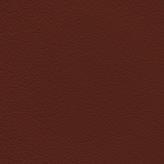 Mercedes Flamenco Red Leather Dye