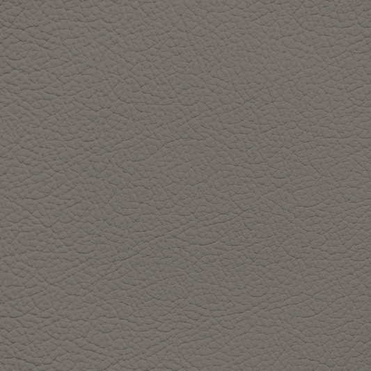 Mercedes Flannel Gray Leather Dye