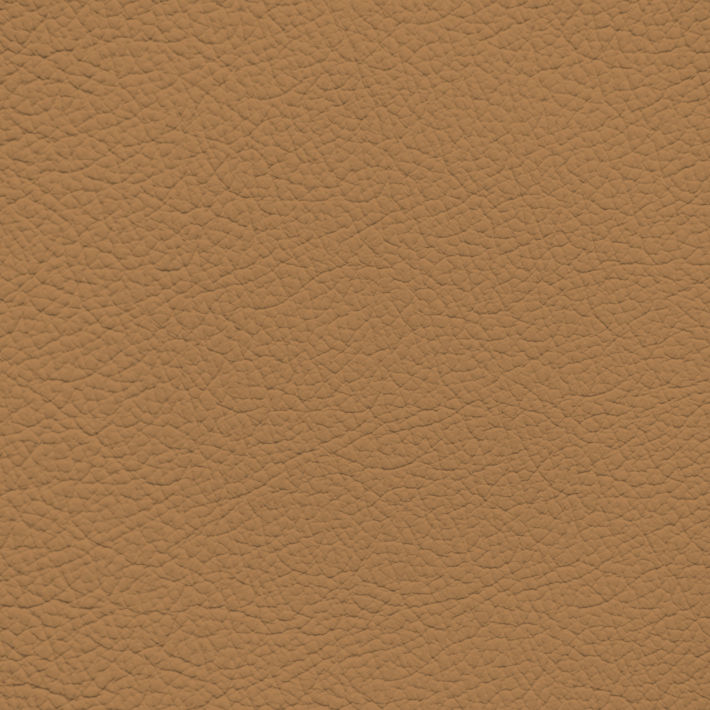 Lexus Flaxen Tan Leather Dye