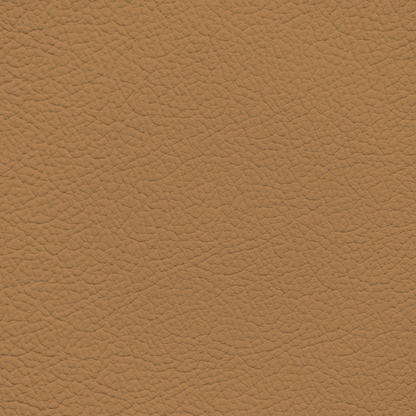 Lexus Flaxen Tan Leather Dye