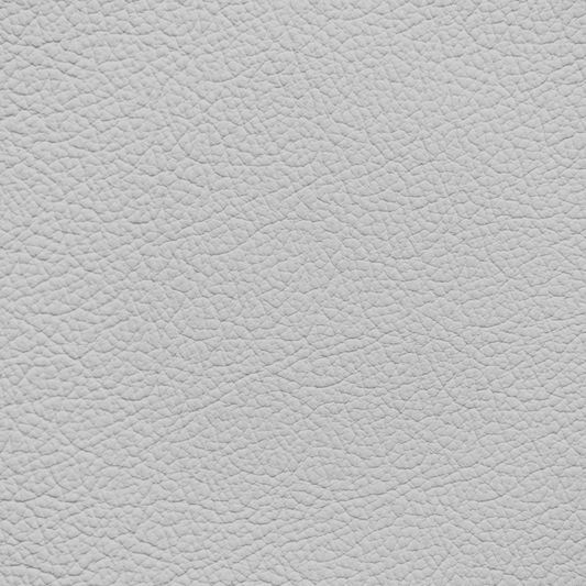 Nissan Steel Leather Dye