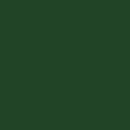 Color Pigment